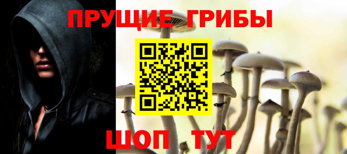 Галлюциногенные грибы Psilocybine cubensis Аргун